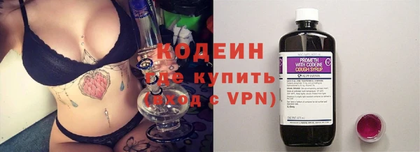 индика Каменск-Шахтинский