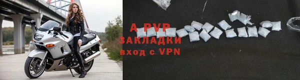 индика Каменск-Шахтинский