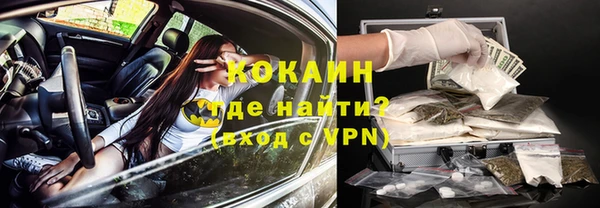 индика Каменск-Шахтинский